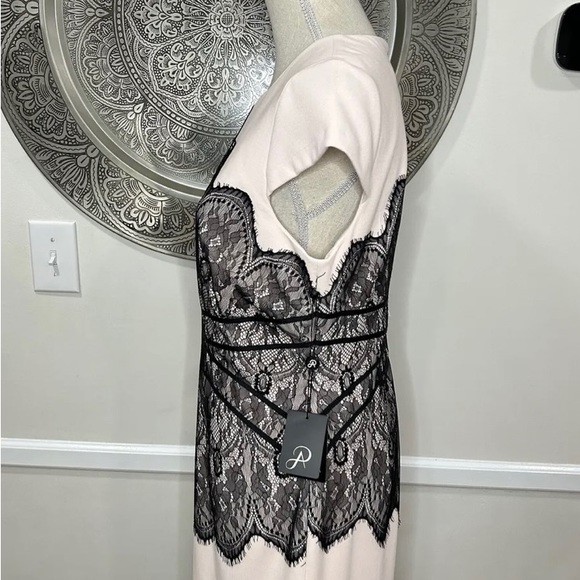 SOLD NWT Adrianna Papell Dress - Picture 5 of 14